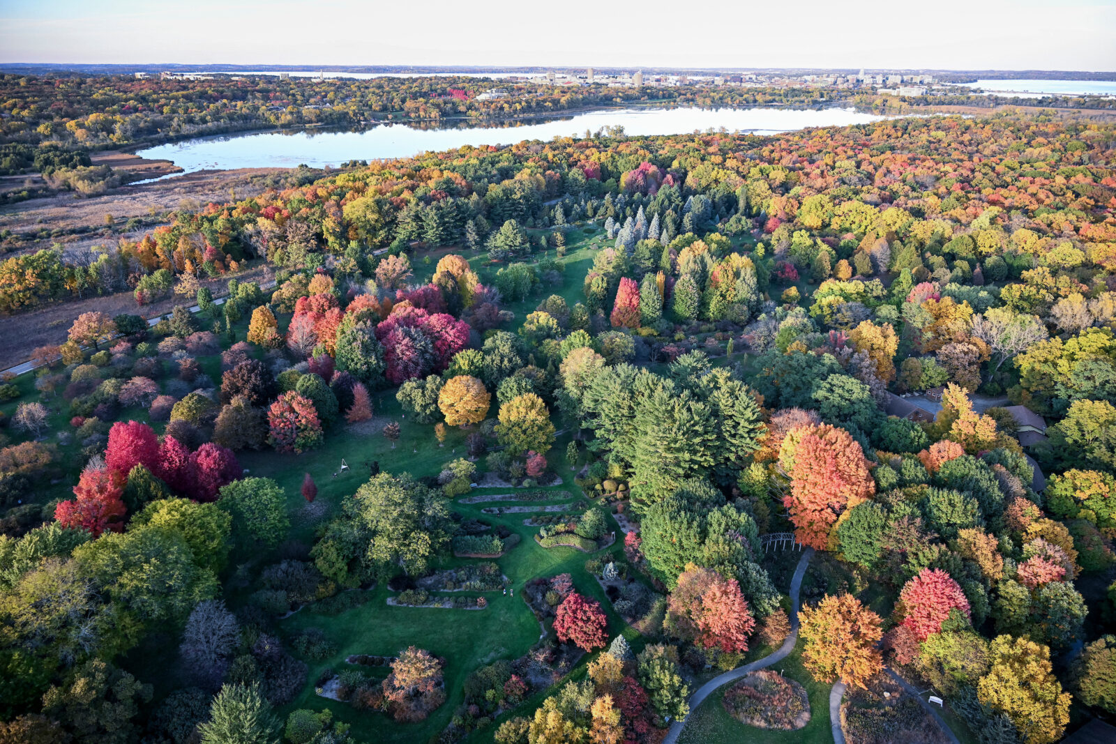 Photo: Althea Dotzour / UW–Madison The Arboretum from above
