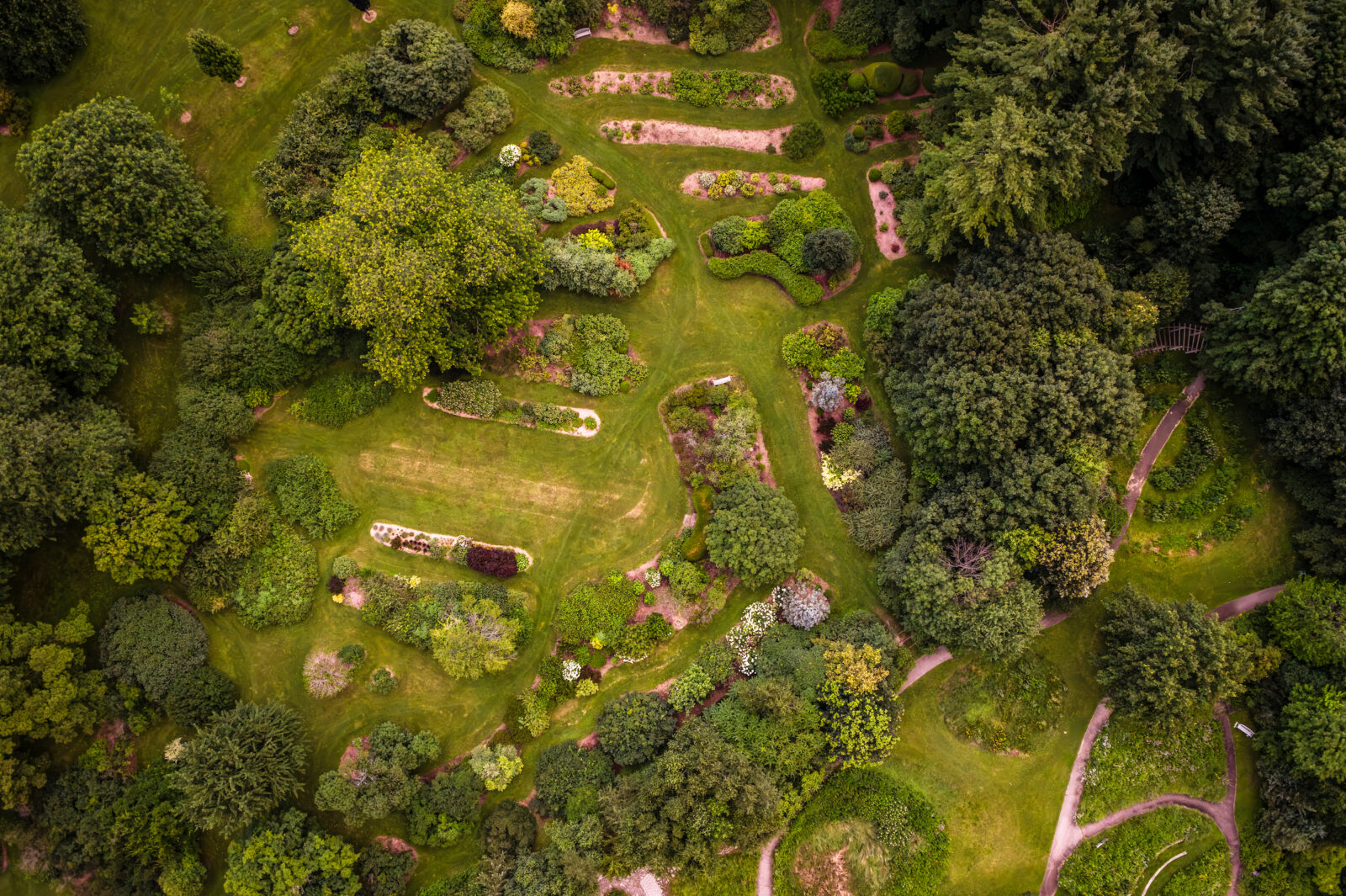 A 90 degree bird's eye view of the azaleas and shrub plantings at The Arboretum
