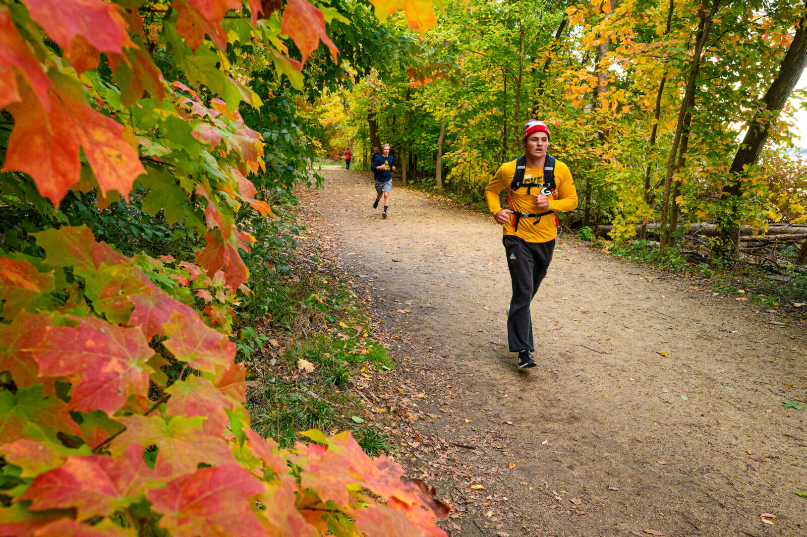 Pedestrians and students walk among the colors of the fall leaves on the Howard Temin Lakeshore Path near Picnic Point
