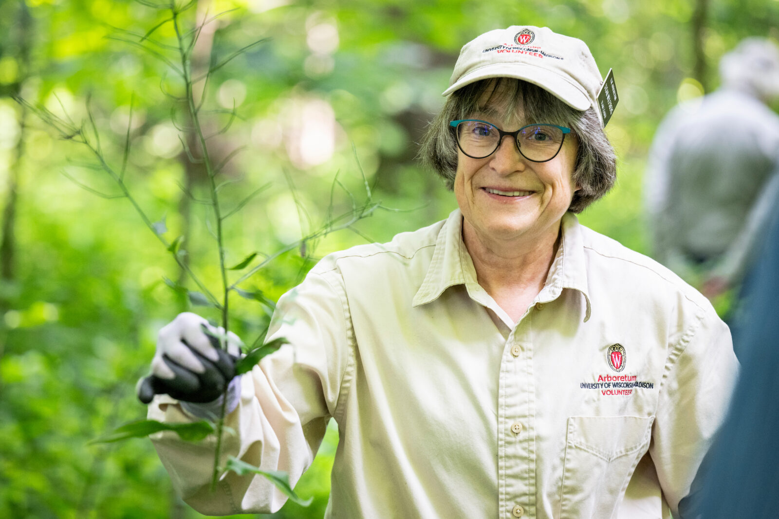 A person holds up a mustard plant