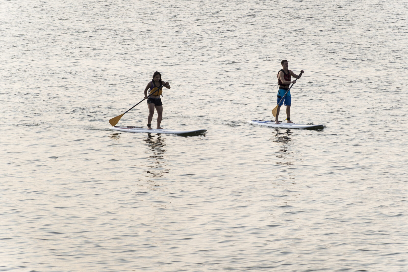 Two people paddling on boards in Lake Mendota
