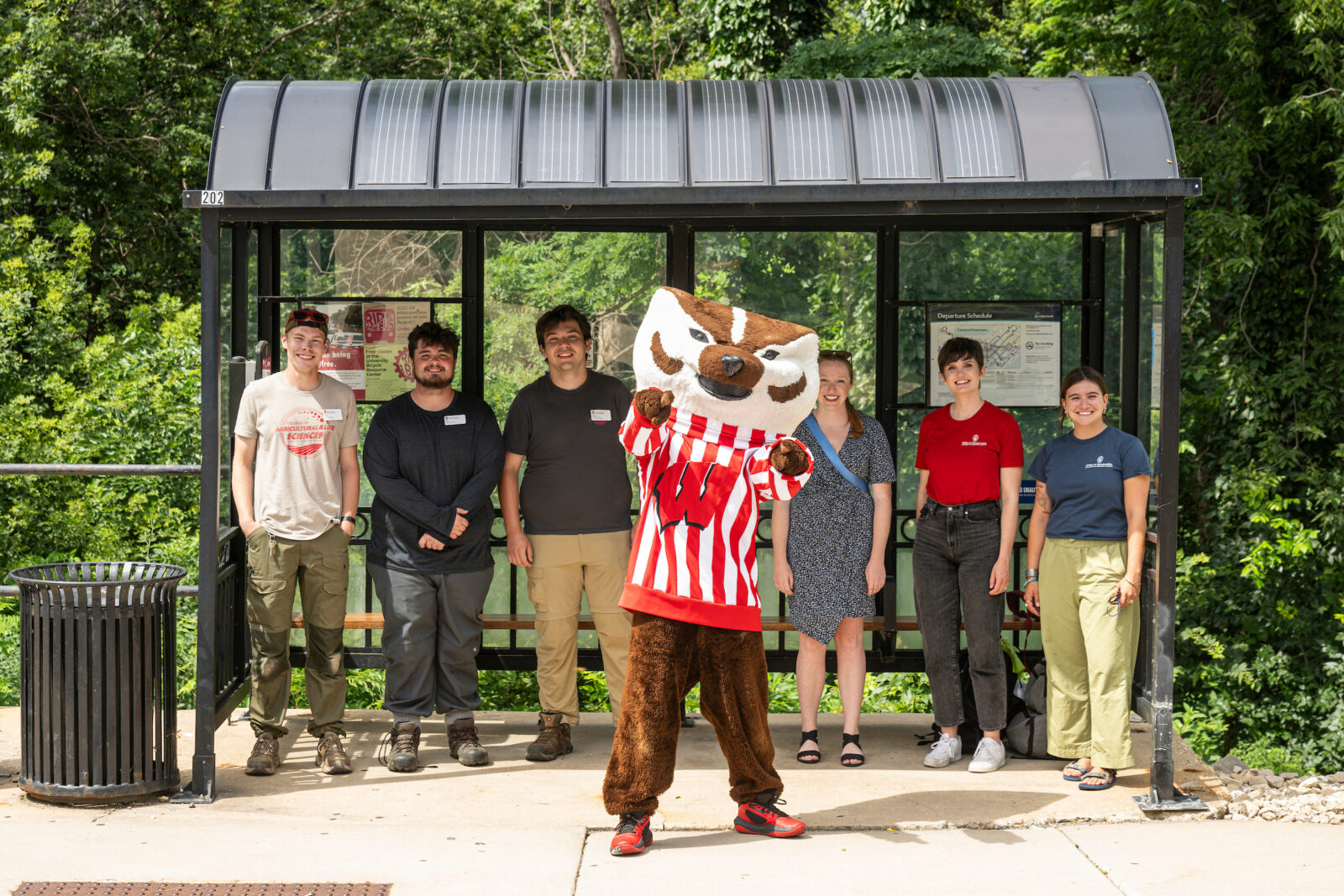 UW mascot Bucky Badger is pictured with students from the Office of Sustainability as they wait at a solar-powered bus shelter for a new 60-foot long Madison Metro electric bus as it makes a special tour around Bascom Hall at the University of Wisconsin-Madison on July 17, 2024. The new buses feature an articulated section that will allow for 50% more riders than current Madison Metro buses. (Photo by Bryce Richter / UW–Madison)