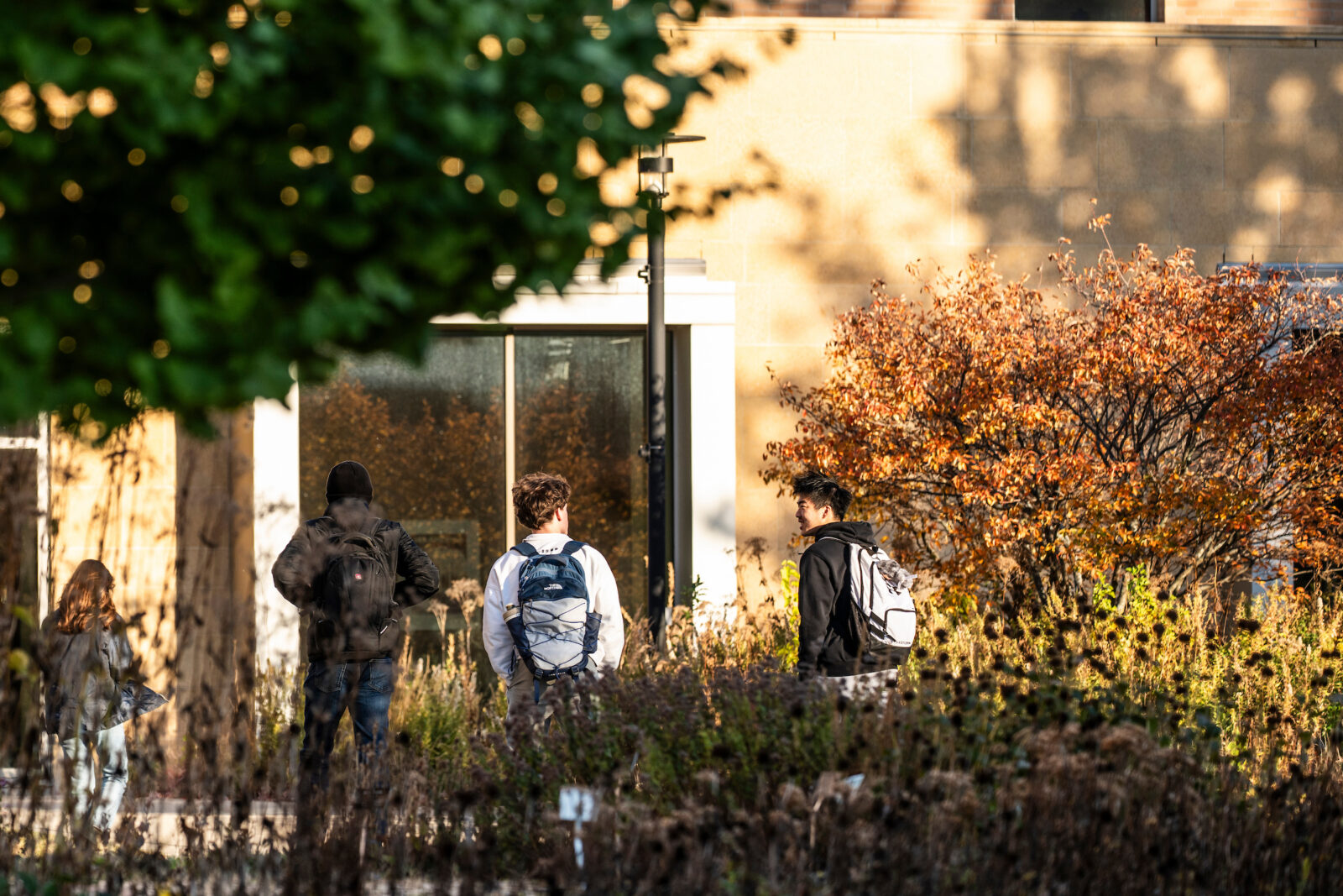 Pedestrians smile while walking and talking on a sidewalk near Signe Skott Cooper Hall on an autumn day at the University of Wisconsin–Madison on Oct. 29, 2025. (Photo by Taylor Wolfram / UW–Madison)
