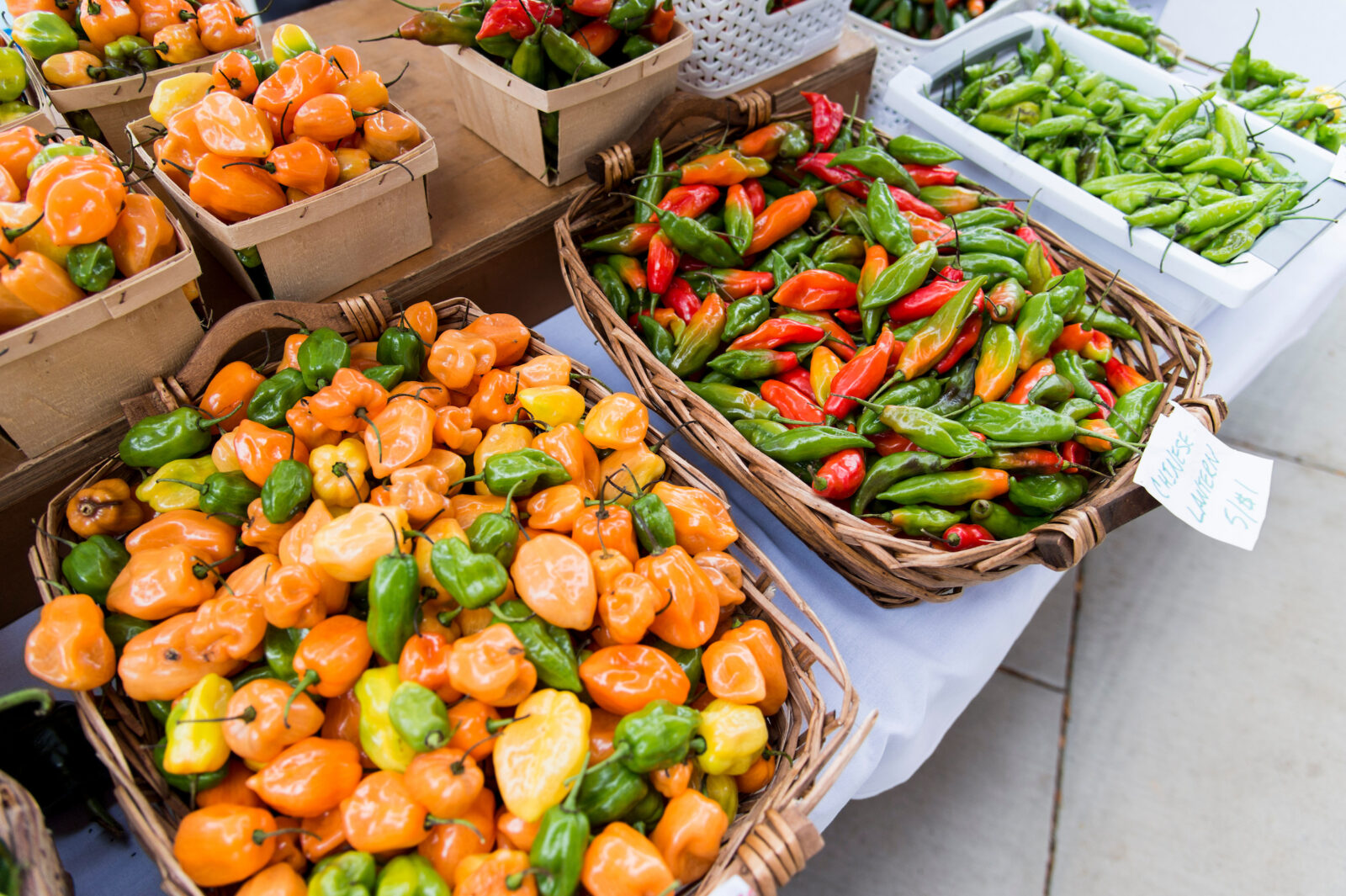 Peppers for sale at Savory Accent during the Campus Farmers' Market at Union South at the University of Wisconsin-Madison on Oct. 25, 2018. (Photo by Lauren Justice / UW-Madison)