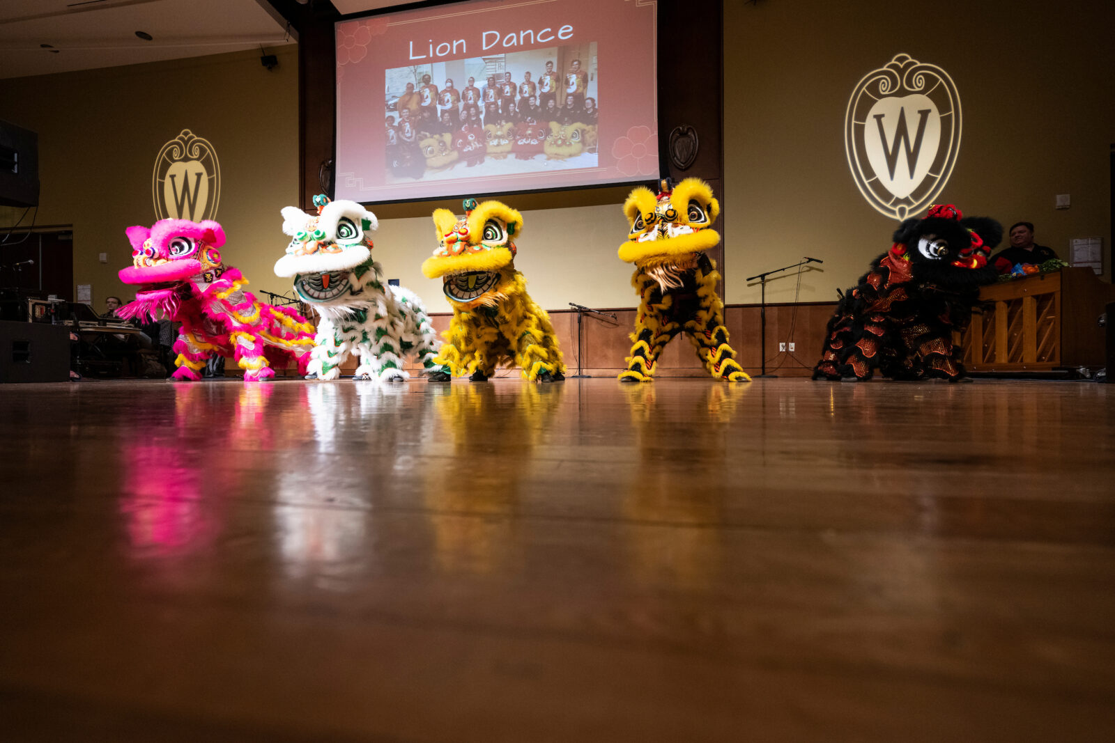 Members of the Zhong Yi Kung Fu Association (of Madison) perform a lion dance during a Lunar New Year celebration hosted by the Chinese American Student Association (CHASA) in Union South’s Varsity Hall at the University of Wisconsin–Madison campus on Feb. 4, 2023. The holiday event was attended by a few hundred people and included food, games, prizes, and performances. (Photo by Jeff Miller / UW–Madison)