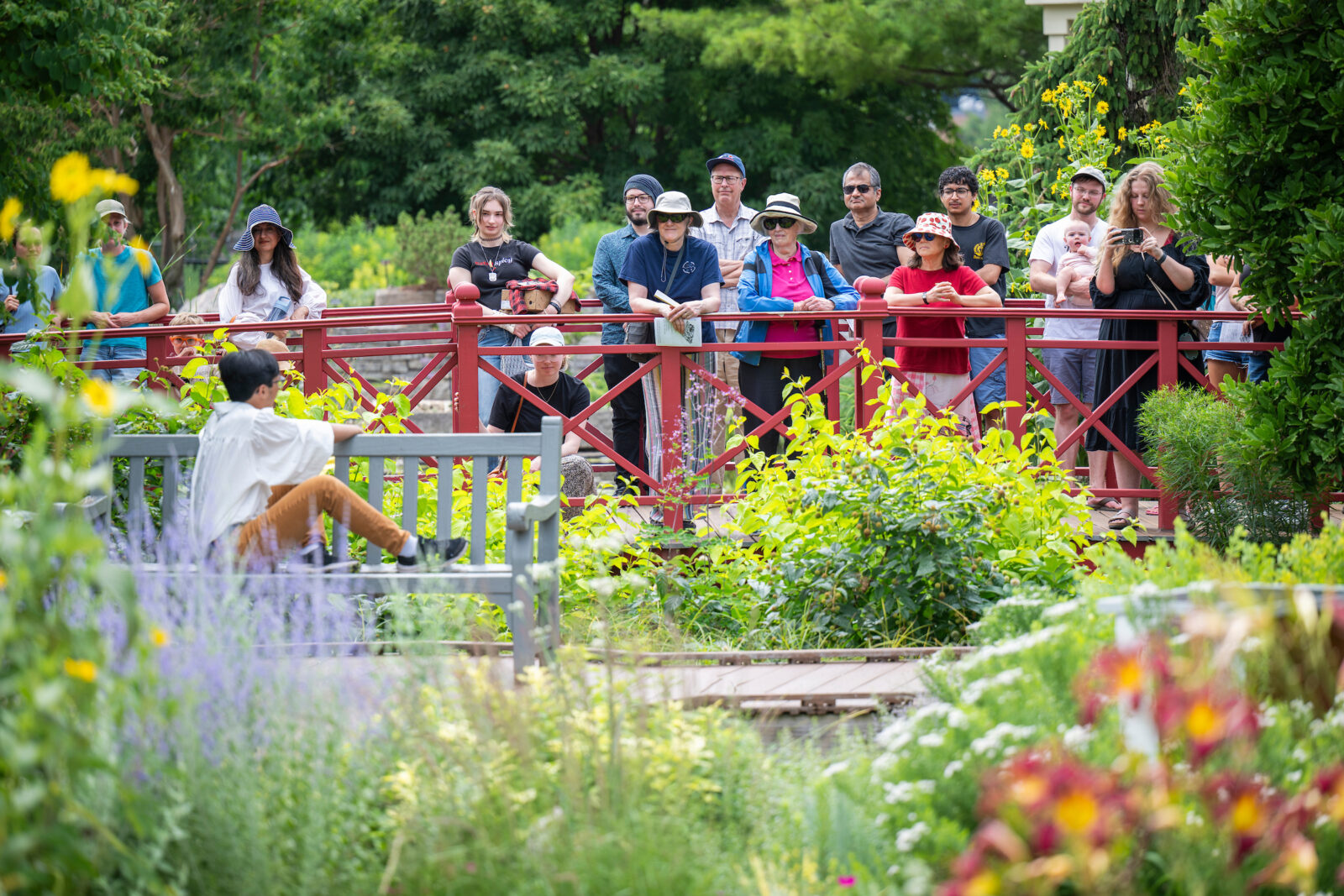 The audience watches from the garden’s red bridge as Dylan Lang performs a scene inspired by “Love’s Labor’s Lost” during Shakespeare in the Garden in Allen Centennial Gardens at the University of Wisconsin–Madison on July 20, 2025. Shakespeare in the Garden features scenes from multiple Shakespeare plays nestled into areas throughout Allen Centennial Garden, directed by Bex Schmitt and featuring UW students in the cast. (Photo by Taylor Wolfram / UW–Madison)