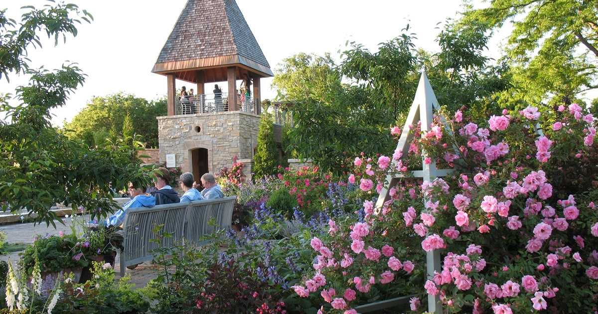 Outside Olbrich Gardens, pink flowers showing